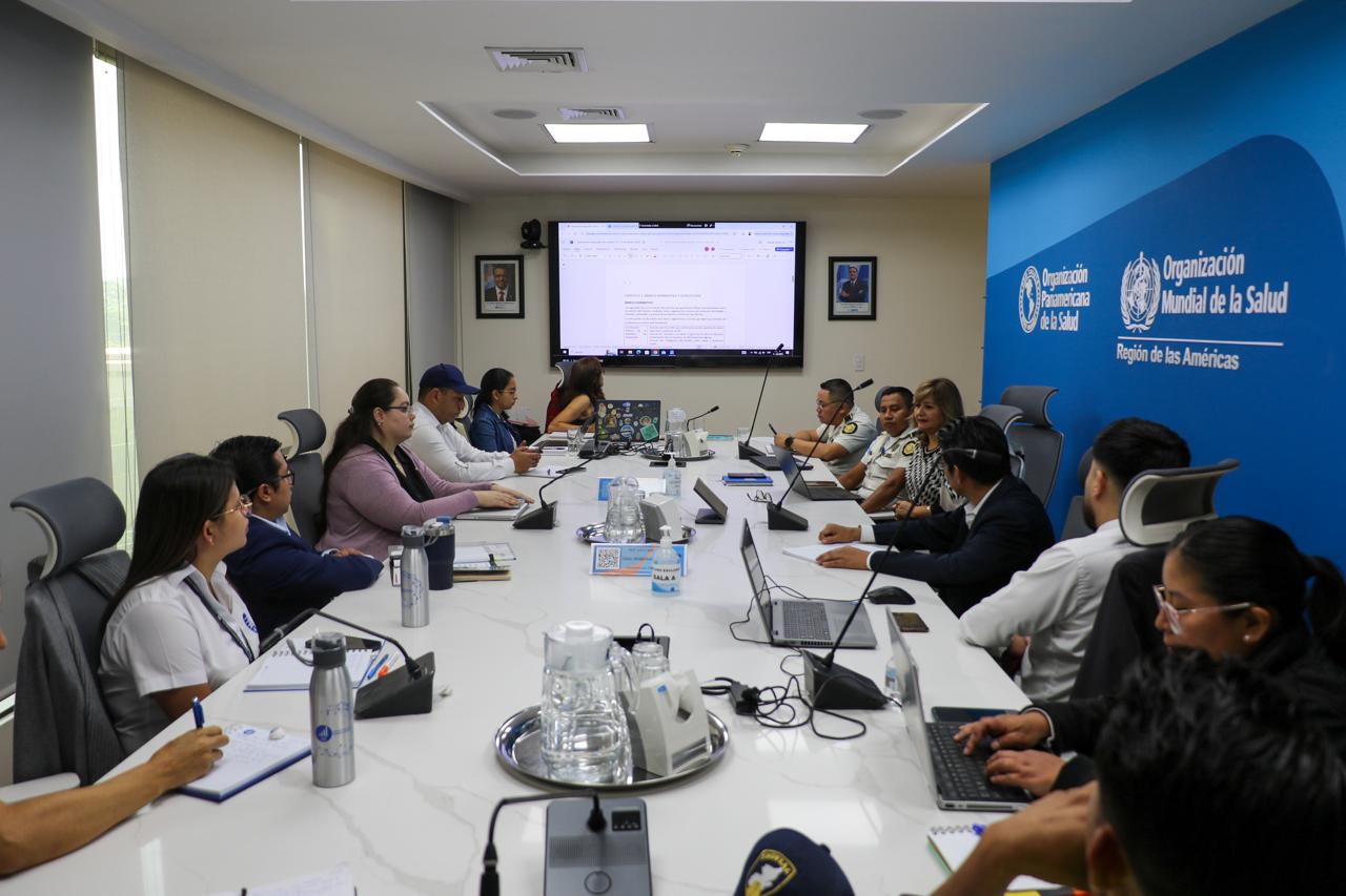 El INE participa en la sexta reunión de la Mesa Técnica sobre Seguridad Vial y la Afectación en Salud 