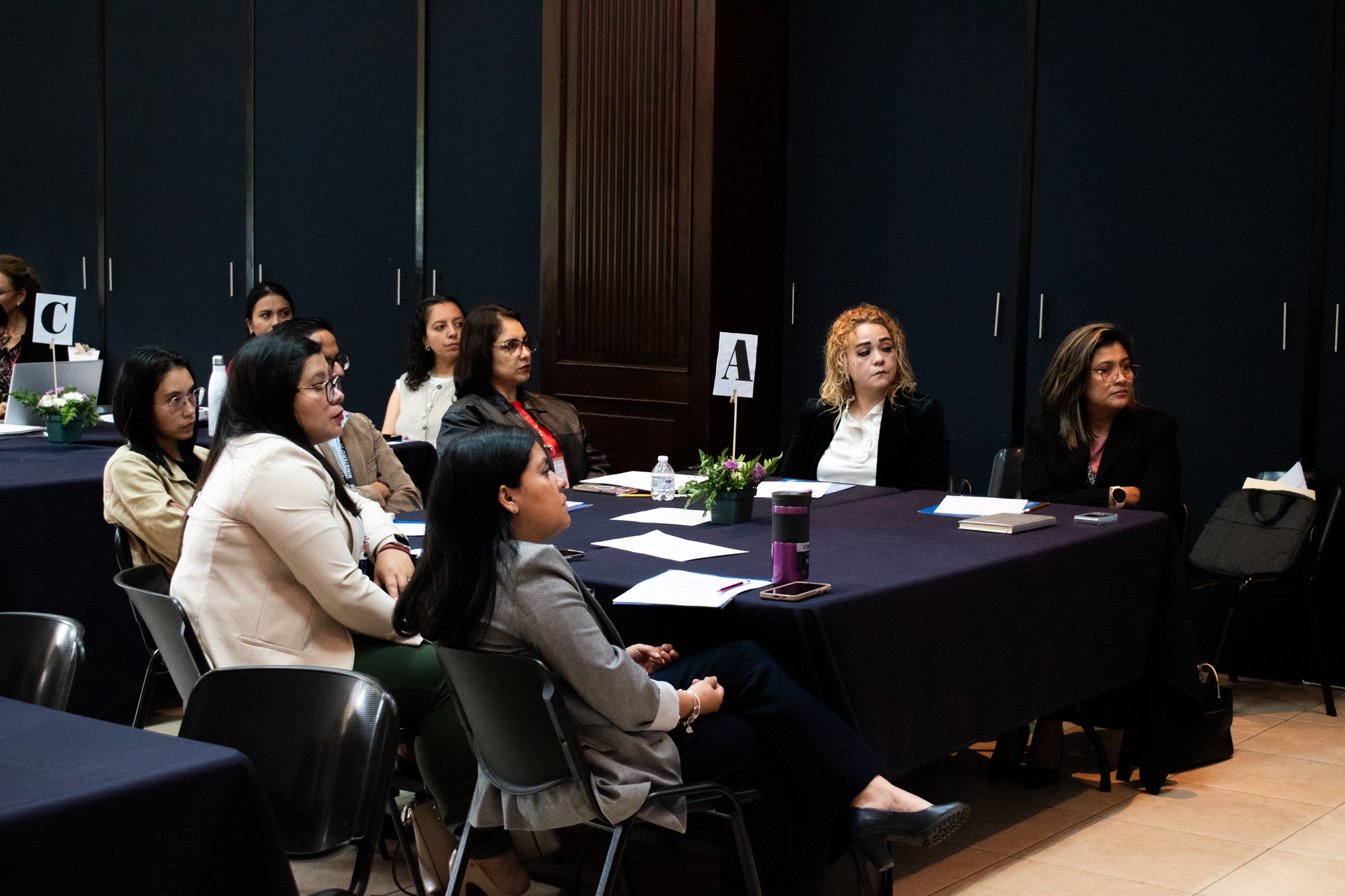 El INE realiza taller para validación institucional de la ENDE